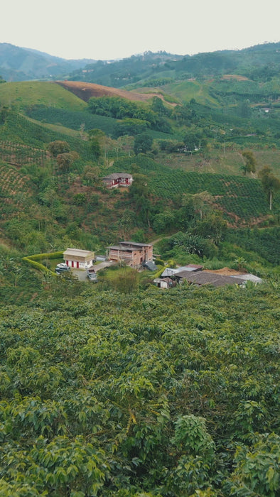 Xochimilco · MI-32 · Finca El Písamo